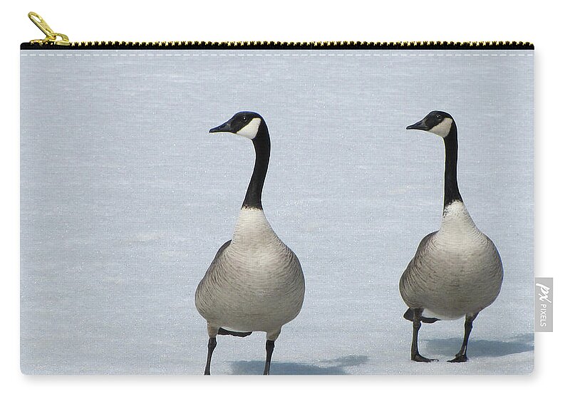 Shadow Zip Pouch featuring the photograph Canada Geese In Snow by Francois Dion