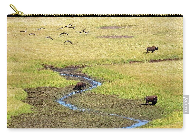 Grass Zip Pouch featuring the photograph Canadian Geese And Bison, Yellowstone by Brian Bruner
