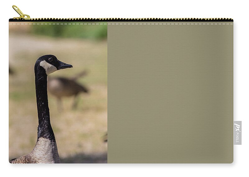 Lake Zip Pouch featuring the photograph Canadian goose, Mississippi River State Park by Julieta Belmont