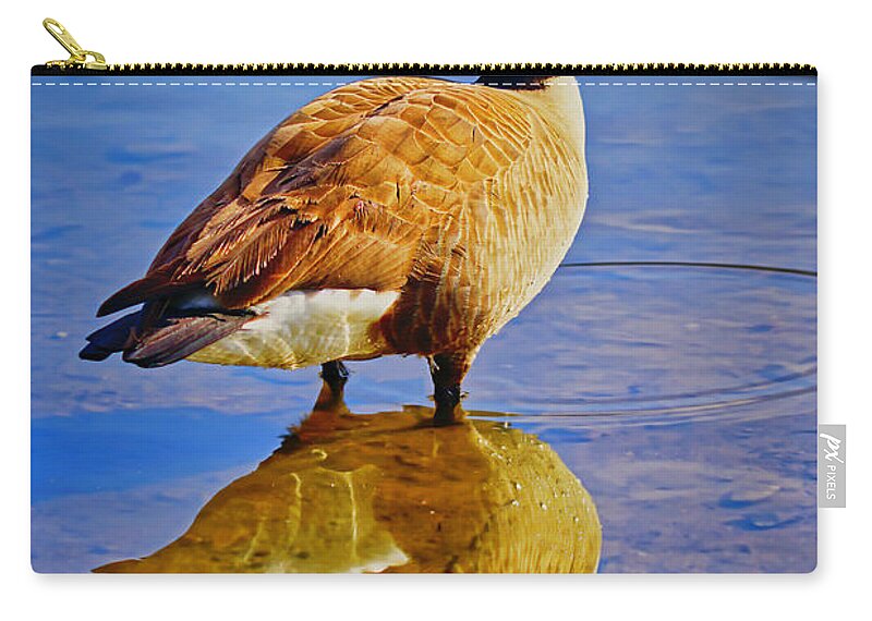 Canada Goose Zip Pouch featuring the photograph Canadian Goose by Meta Gatschenberger