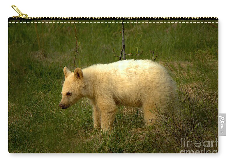 White Bear Zip Pouch featuring the photograph Canadian Rockies White Black Bear Cub by Adam Jewell