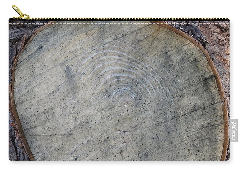 Canal Zip Pouch featuring the photograph Canal Stumps-016 Tombstone by Christopher Plummer