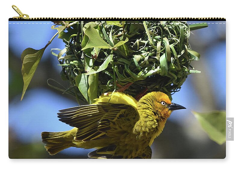 Weaver Carry-all Pouch featuring the photograph Cape Weaver and Nest by Ben Foster