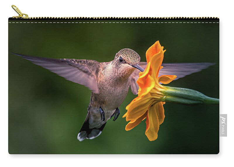 Hummingbird Zip Pouch featuring the photograph Capturing the Moment by Allin Sorenson