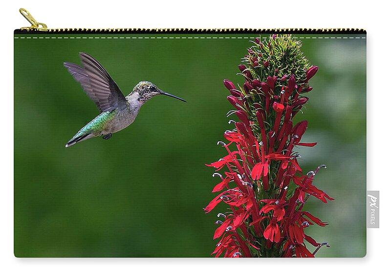 Bird Zip Pouch featuring the photograph Cardinal Attraction by Art Cole