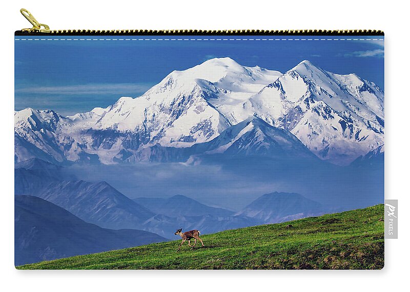 Caribou Zip Pouch featuring the photograph Caribou With Mount Denali In The Background by Mountain Dreams