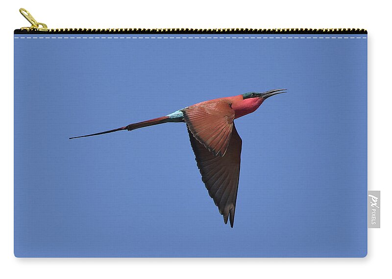 Bee-eater Zip Pouch featuring the photograph Carmine Bee-Eater by Ben Foster
