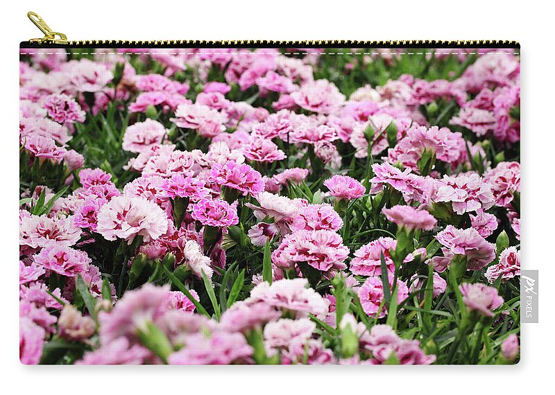 Flowerbed Zip Pouch featuring the photograph Carnation by Samxmeg