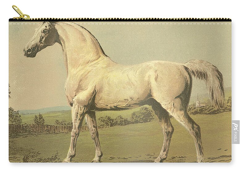 White Zip Pouch featuring the painting Cassells Thoroughbred II by Cassell