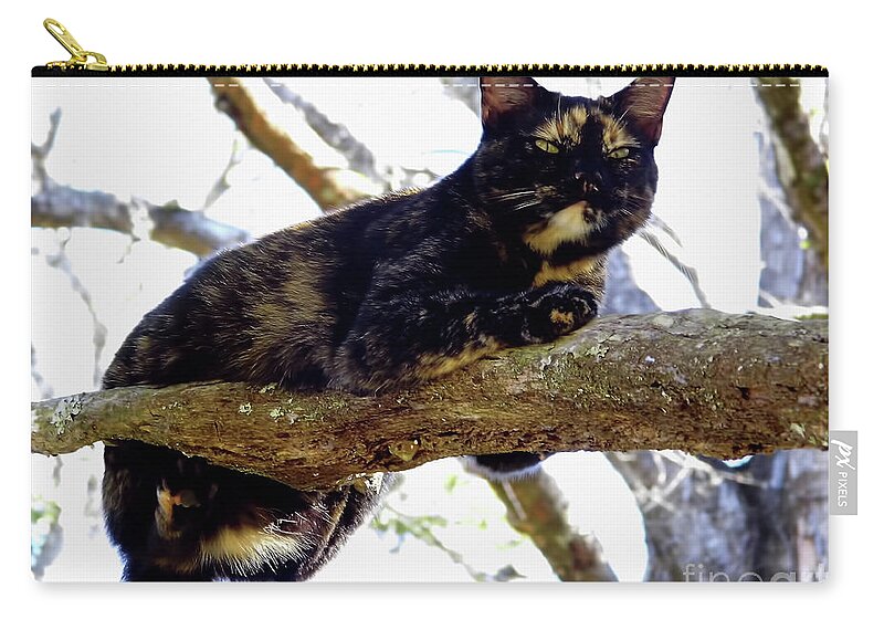 Cat Zip Pouch featuring the photograph Cat - Out - On - A - Limb by D Hackett