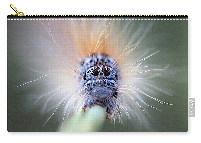  Zip Pouch featuring the photograph Caterpillar Face by Natalie Dowty
