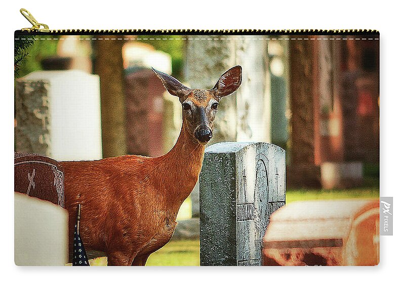 New York Zip Pouch featuring the photograph Cemetery Deer by Lenore Locken