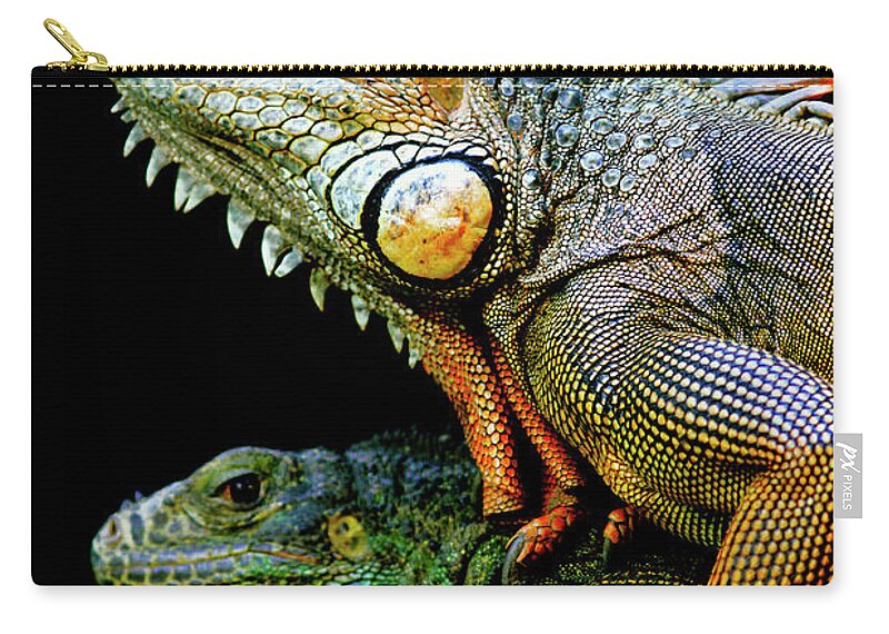 Animal Themes Zip Pouch featuring the photograph Chameleons by Paypal