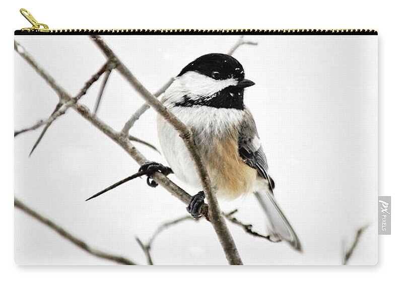 Chickadee Zip Pouch featuring the photograph Charming Winter Chickadee by Christina Rollo