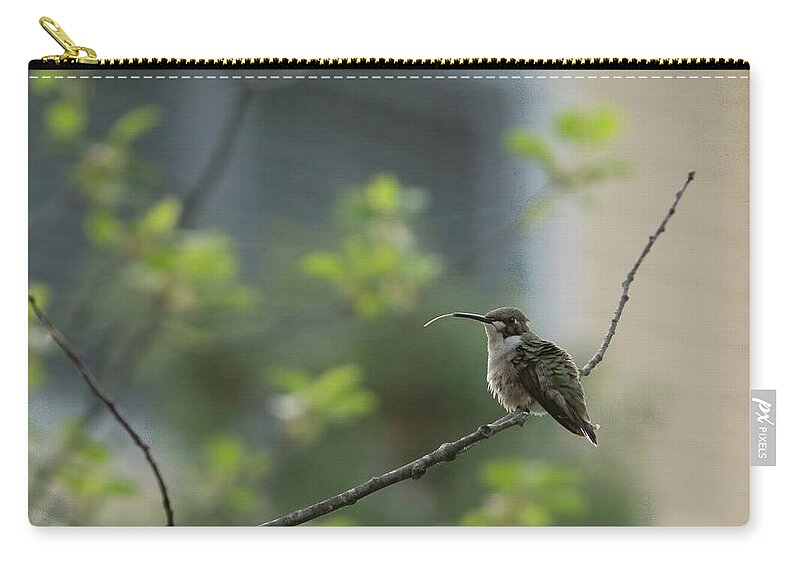 America Zip Pouch featuring the photograph Cheeky Hummingbird by Jeff Folger