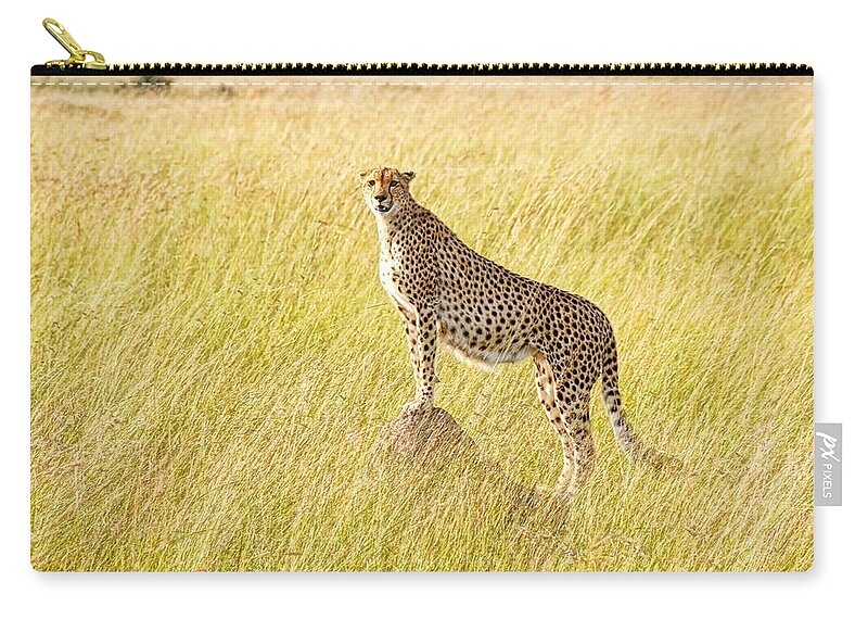 Kenya Zip Pouch featuring the photograph Cheetah In Masai Mara, Kenya by Photos By Coyle