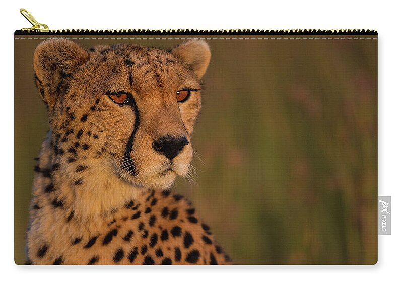 Kenya Zip Pouch featuring the photograph Cheetah Portrait by Manoj Shah