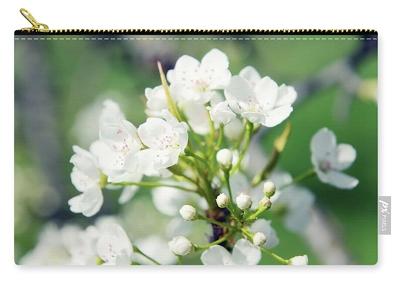 Season Zip Pouch featuring the photograph Cherry Blossmom In Spring Time by Hsvrs