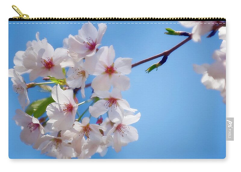 Clear Sky Zip Pouch featuring the photograph Cherry Blossom, Blue Sky by Maria Mosolova