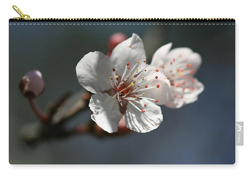 Bud Zip Pouch featuring the photograph Cherry Blossom Bud by Silkegb