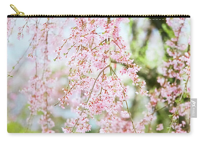 Cherry Zip Pouch featuring the photograph Cherry Blossom In Kyoto by Tomml