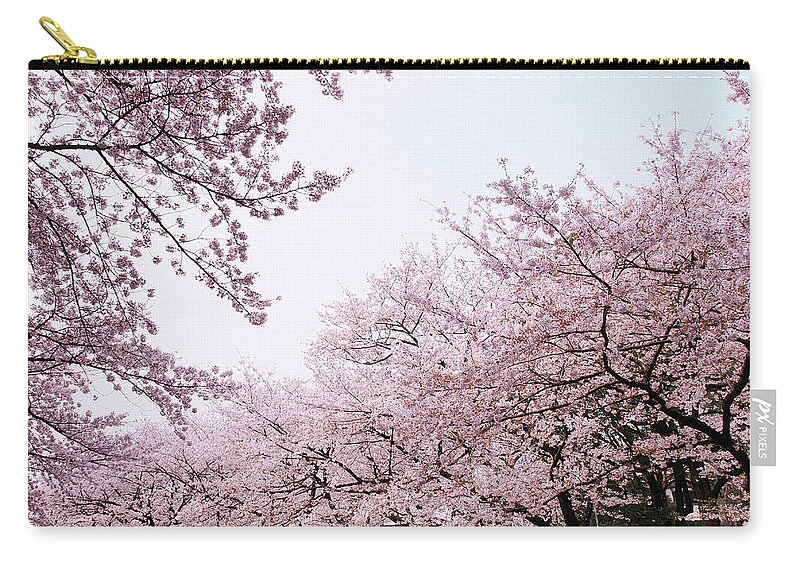 Outdoors Zip Pouch featuring the photograph Cherry Blossom by Pearl's Images