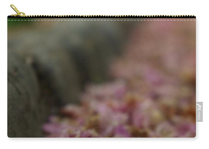 The End Zip Pouch featuring the photograph Cherry Blossoms Line A Gutter In A by Copyright Bryan Hollar