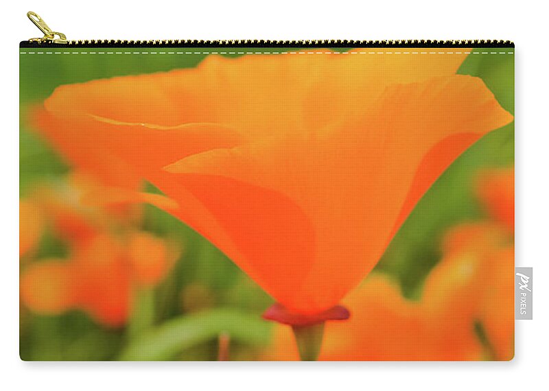 Poppy Zip Pouch featuring the photograph Chino Hills Poppy Portrait by Kyle Hanson