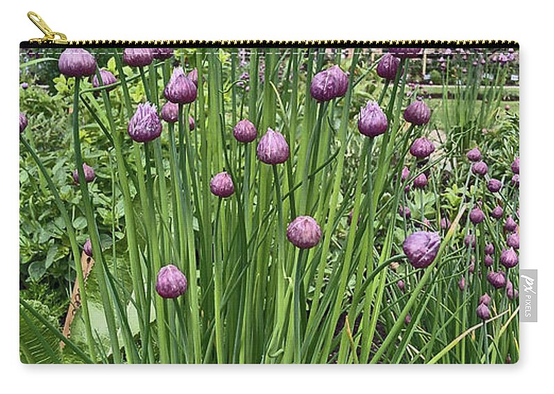 Chorley Carry-all Pouch featuring the photograph CHORLEY. Astley Hall. Walled Garden Chive Flowers. by Lachlan Main