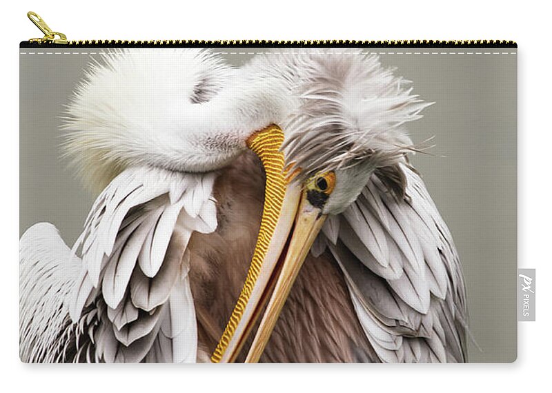 Animal Themes Zip Pouch featuring the photograph Cleaning The Feathers by Kerstin Meyer