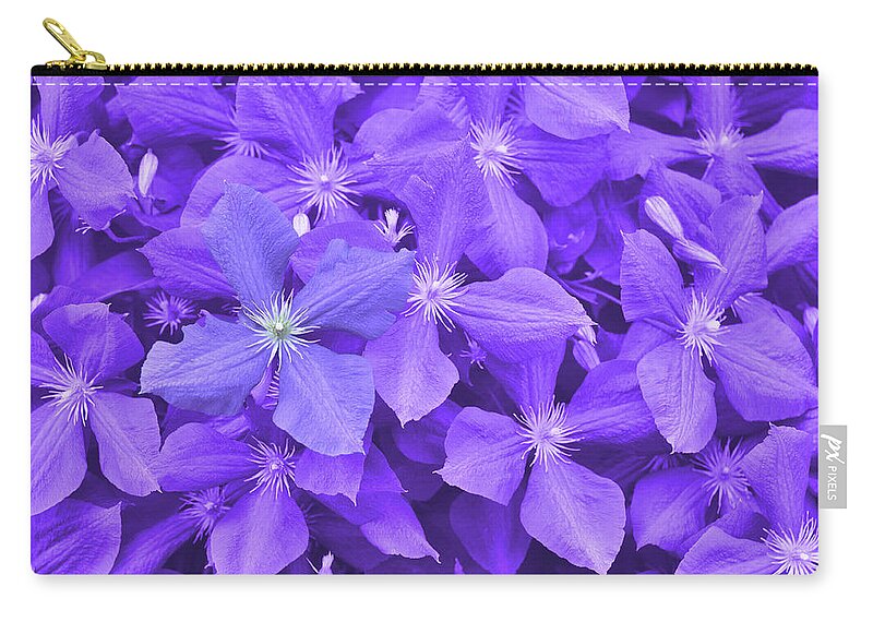Arbors Zip Pouch featuring the photograph Clematis by JAMART Photography