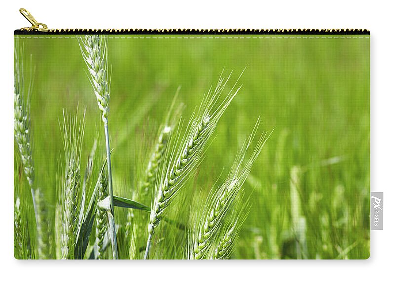 Outdoors Zip Pouch featuring the photograph Close Up Of Barley Stalks In Field by Brett Stevens