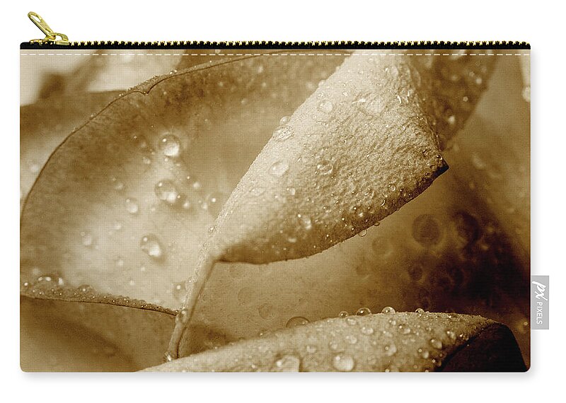 Petal Zip Pouch featuring the photograph Close-up Of Dew Drops On A Rose by Win-initiative/neleman