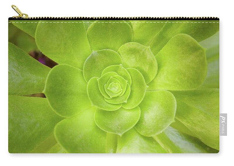 Scenics Zip Pouch featuring the photograph Close-up Of Green Succulent Plant by Gspictures