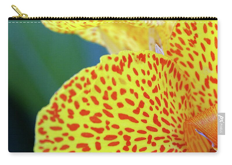 Petal Zip Pouch featuring the photograph Close Up Of Yellow Flower by Sofia Uslenghi