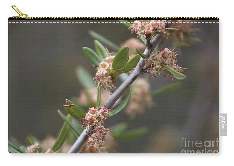 Mountain Laurel Zip Pouch featuring the photograph Closeup Mountain Laurel in Utah by Colleen Cornelius