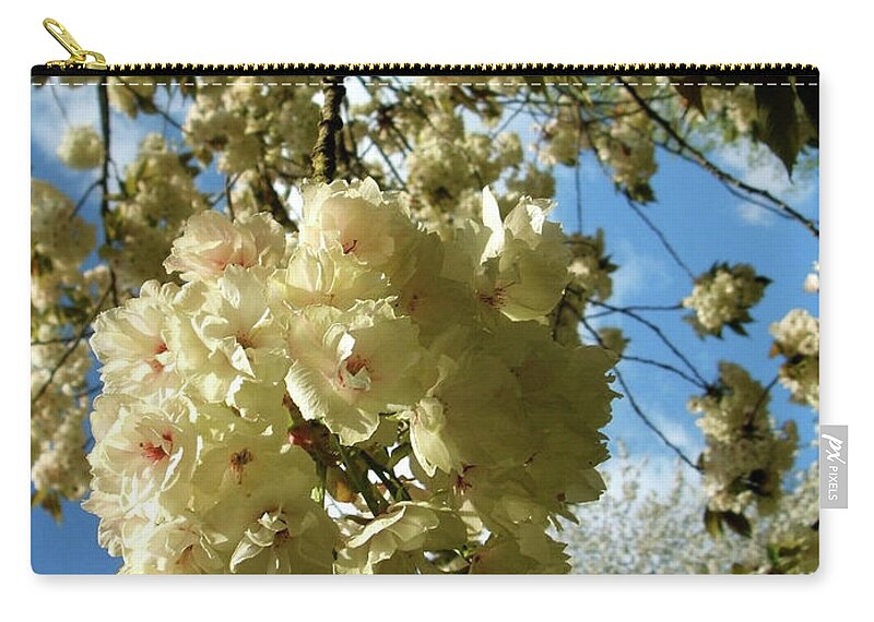 Bunch Zip Pouch featuring the photograph Clusters Of Spring Cherry Blossom In by Tracy Packer Photography