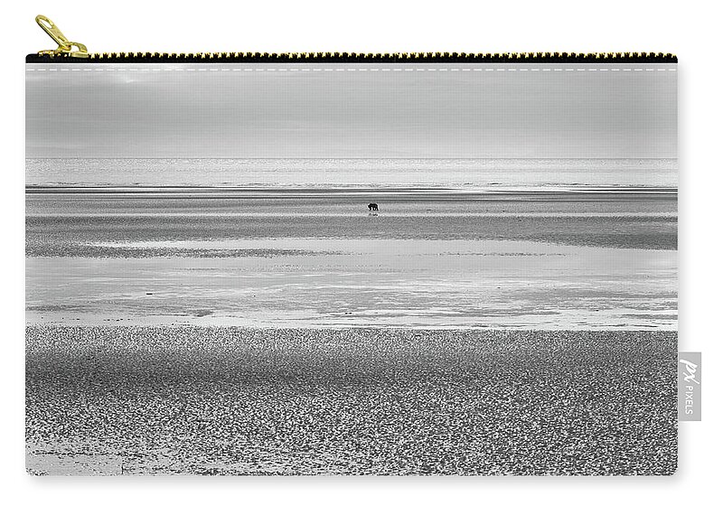 Bear Zip Pouch featuring the photograph Coastal Brown Bear on a Beach in Monochrome by Mark Hunter
