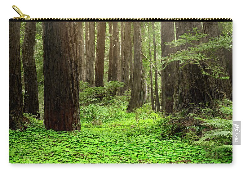 Tranquility Zip Pouch featuring the photograph Coastal Redwood Forest Floor by Stephen Swintek