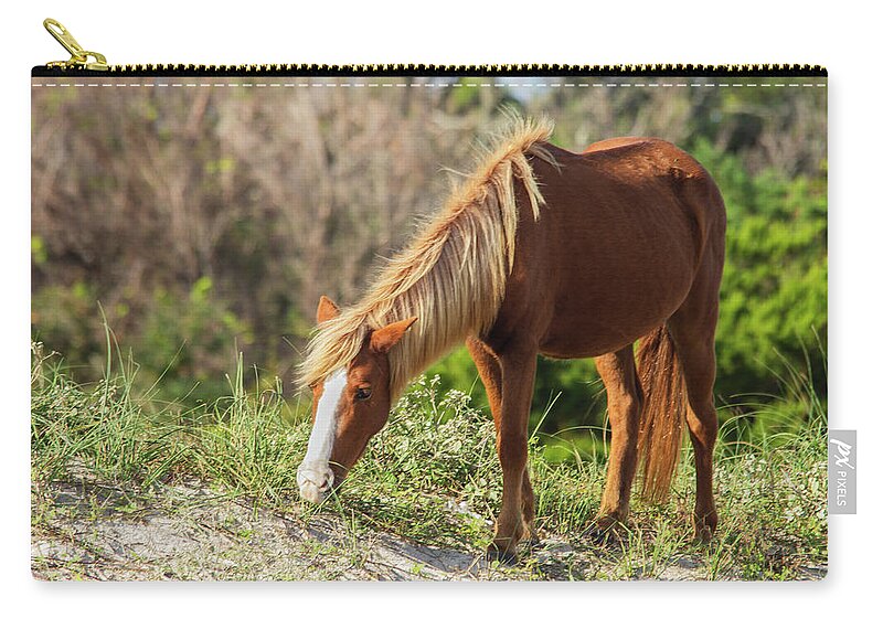 Wild Horse Zip Pouch featuring the photograph Coastal Wild Mustang by Bob Decker
