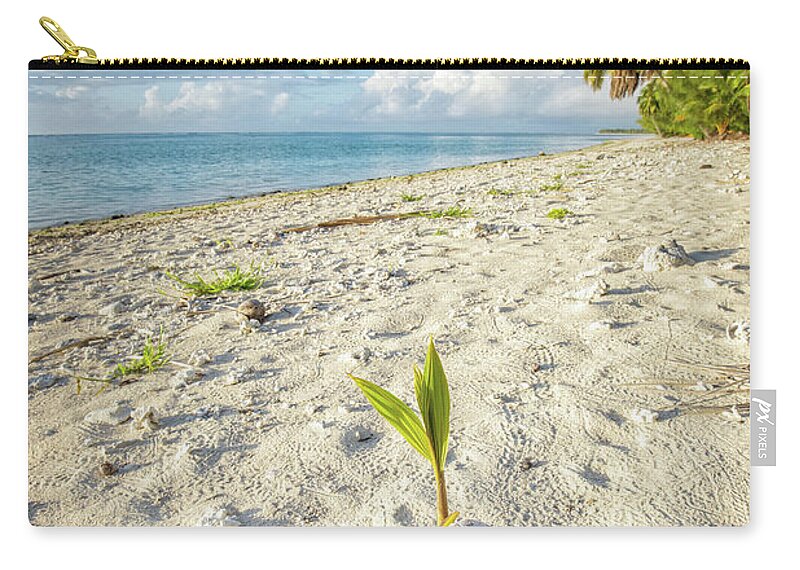 Coconut Carry-all Pouch featuring the photograph Coconut Sprout by Becqi Sherman