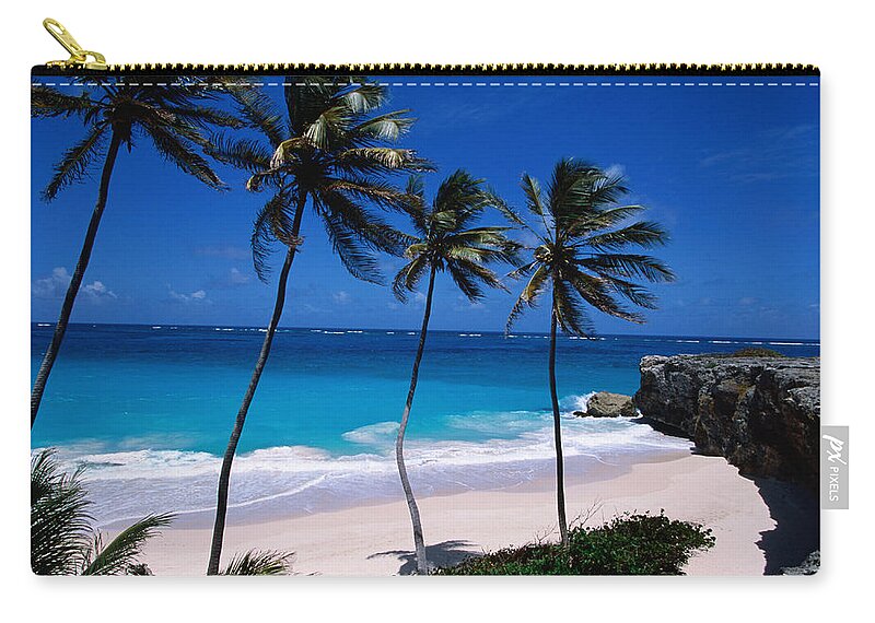 Barbados Zip Pouch featuring the photograph Coconut Trees Cocos Nucifera And Bottom by Holger Leue