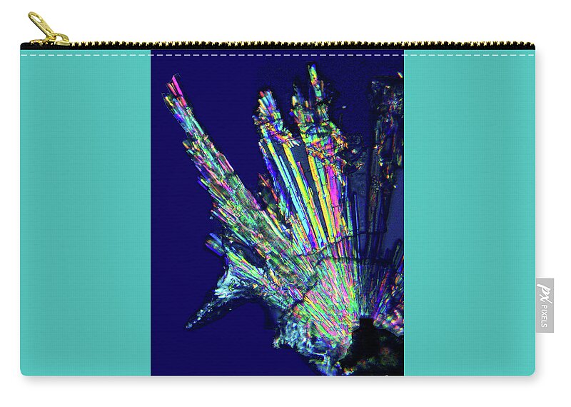  Zip Pouch featuring the photograph Color Burst by Rein Nomm