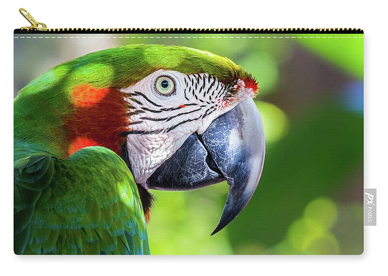Ambient Light Zip Pouch featuring the photograph Colorful Parrot in Bright Sunlight 2 by Liesl Walsh