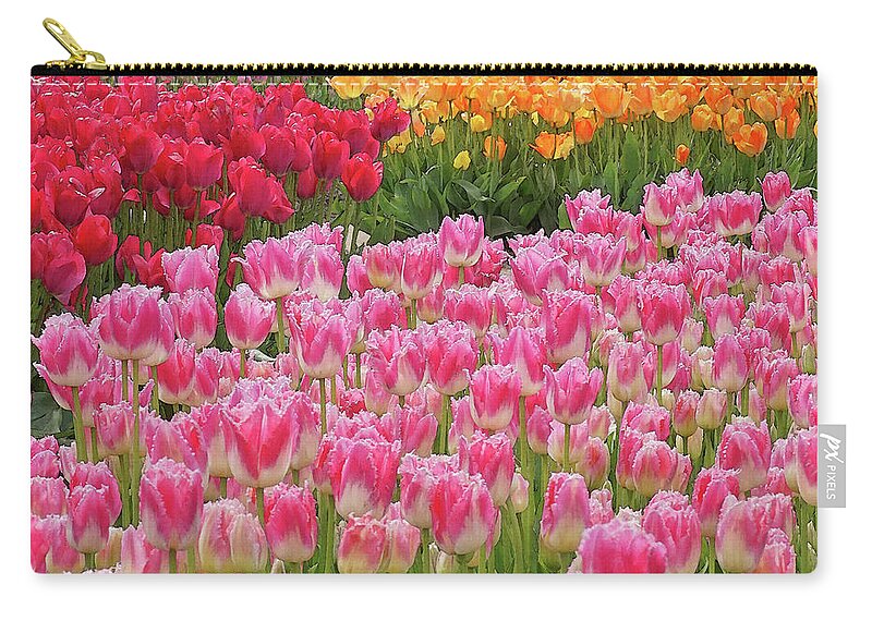 Tulips Zip Pouch featuring the photograph Colors Ignited by Kathi Mirto