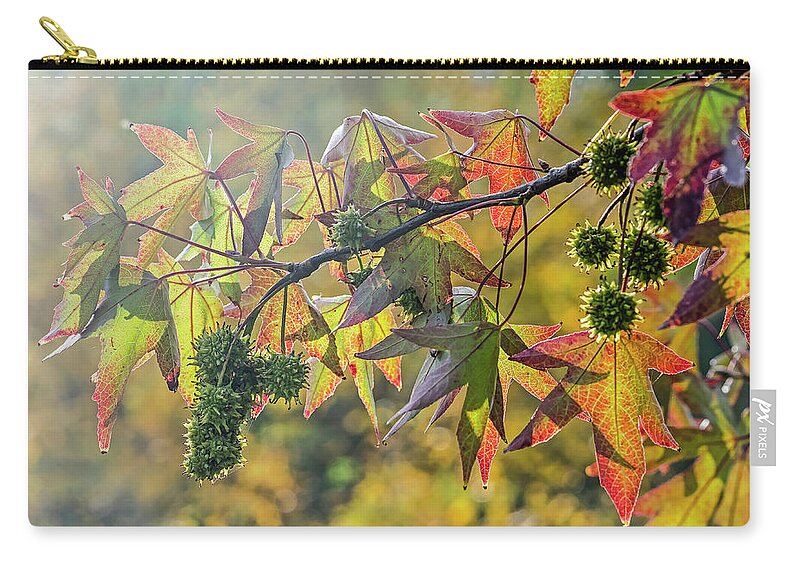 Alligatorwood Zip Pouch featuring the photograph Colors of a sweet gum tree by Frans Blok