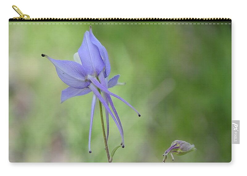  Zip Pouch featuring the photograph Columbine details by Susie Rieple