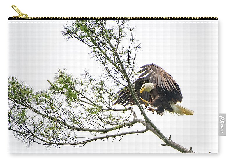 Bald Eagle Zip Pouch featuring the photograph Coming in for a Landing by Robert J Wagner