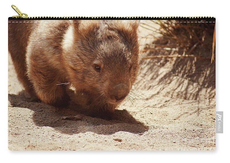 Common Wombat Zip Pouch featuring the photograph Common Wombat by Cassandra Buckley