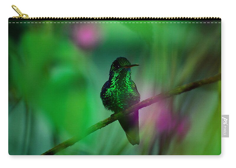 Animal Themes Zip Pouch featuring the photograph Copper-rumped Hummingbird Amazilia by Art Wolfe